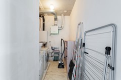 Lisdodde 151-50.jpg